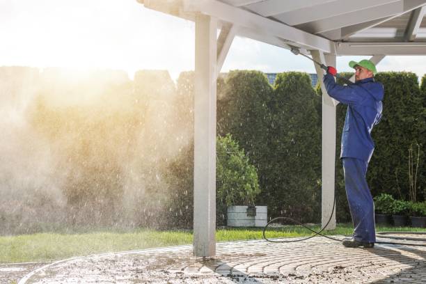 Pre-Holiday Cleaning in Townsend, DE